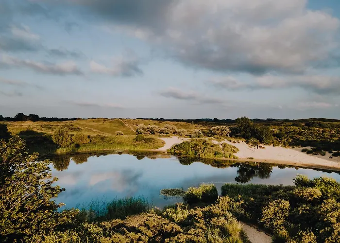 Garden House Harry Tatil Evi